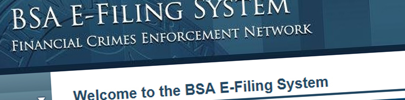 Filing Information Fincen Gov