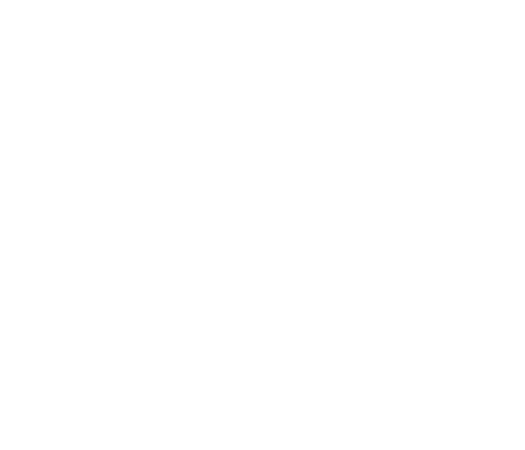 Activity line icon