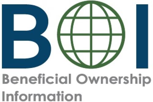BOI Logo Homepage